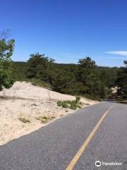 Cape Cod Provincelands Trail