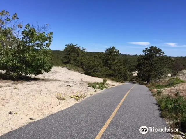 Cape Cod Provincelands Trail