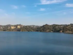 Damsal Dam