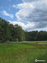 Falmouth Nature Preserve and Mill Creek Preserve