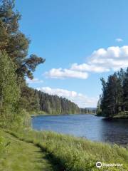 Kyrköns naturreservat