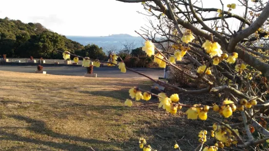 世界の梅公園