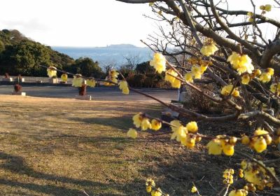 Sekainoume Park