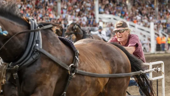 Manitoba Stampede & Exhibition