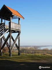 UNESCO-Biosphärenreservat Flusslandschaft Elbe M-V