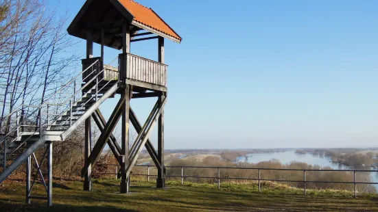 UNESCO-Biosphärenreservat Flusslandschaft Elbe Mecklenburg-Vorpommern