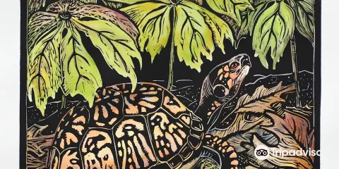 Wandering Oaks Fine Art Gallery