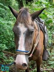 Descubre la Naturaleza, Horseback and Bike Tour