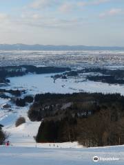 Nagaoka Municipal Ski Area
