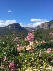 Bodega Castell Miquel