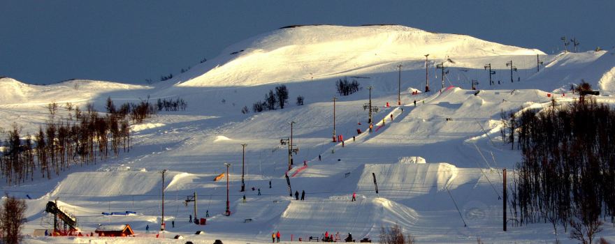 Vierli Terrengpark