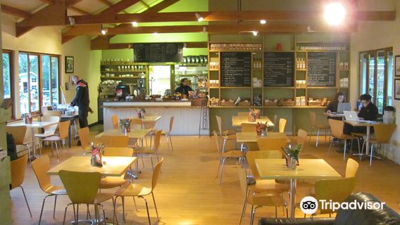 Crocus at Dorney Court