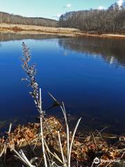 Mahlon Dickerson Reservation