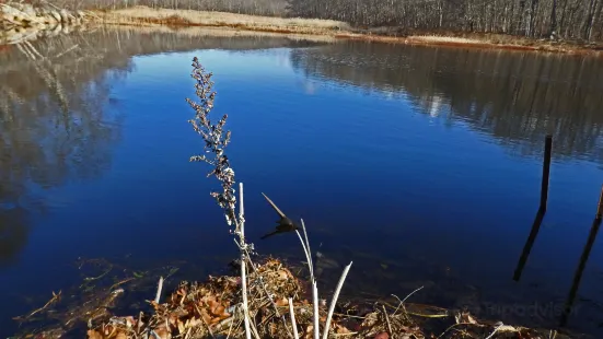 Mahlon Dickerson Reservation