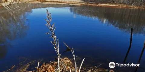Mahlon Dickerson Reservation