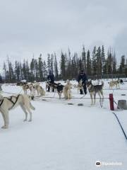 Dog Sled Rides of Winter Park