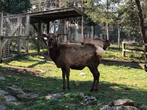 ZooAmerica ノース・アメリカン・ワイルドライフ・パーク