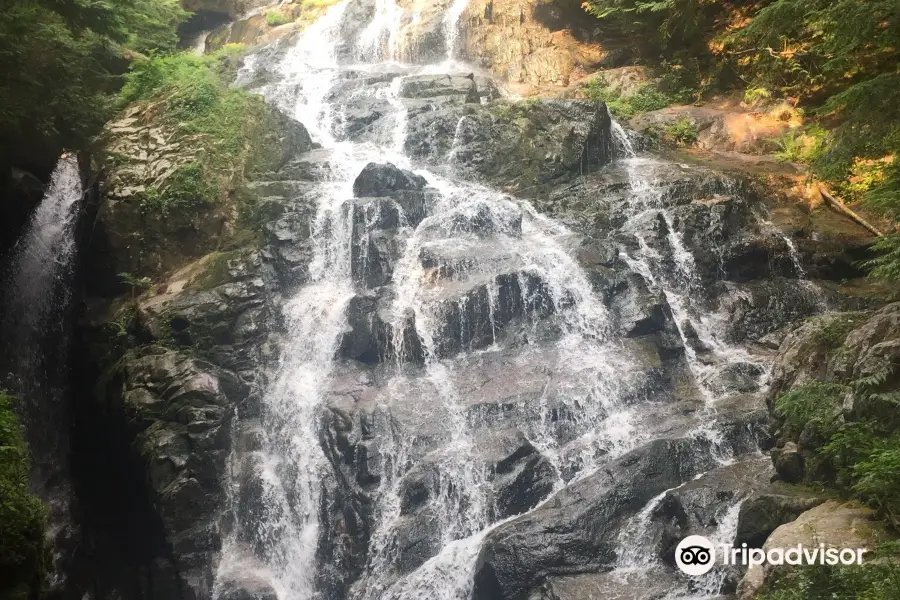 Big Cedar and Kennedy Falls Trail