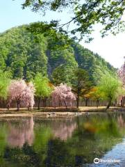 Yuzawa Central Park