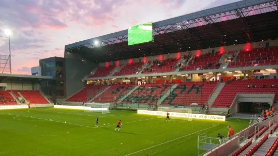 Stadium of Anton Malatinský