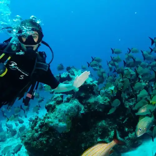 Popular Activities in Cancun