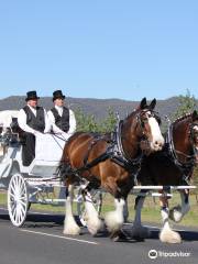 Goldfields Carriage Co