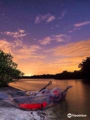 Get Up and Go Kayaking - Titusville