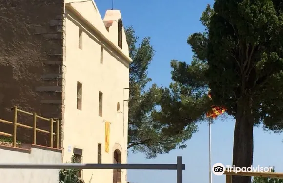 拉·塞爾瓦·德爾·坎普