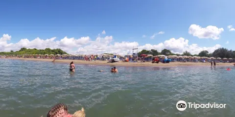 Ai Delfini Stabilimento Balneare