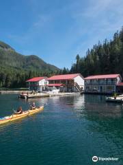 Nootka Marine Adventures