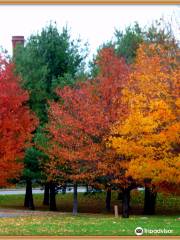 Bellamy Harbor Park