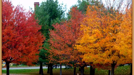 Bellamy Harbor Park