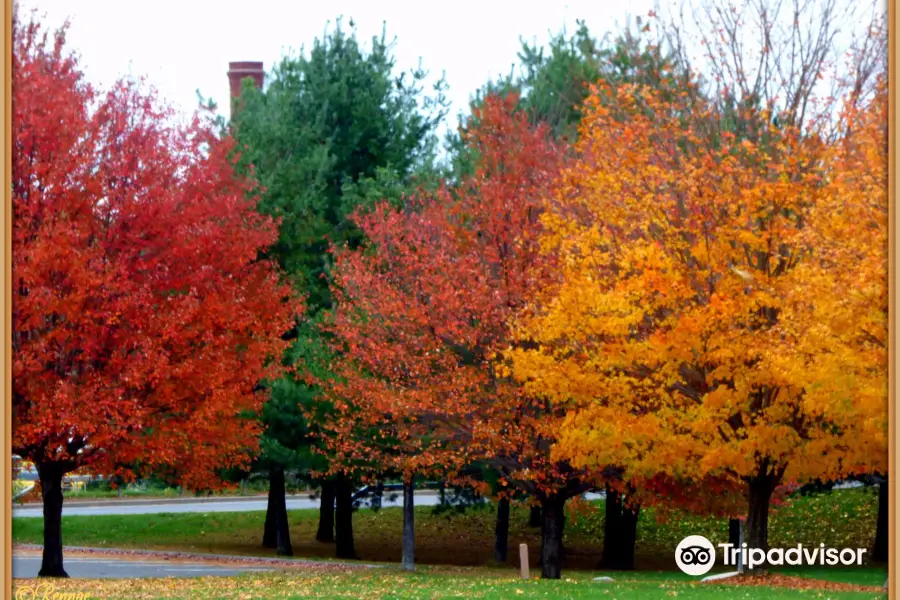 Bellamy Harbor Park