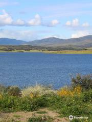 Presa del Embalse de Alcollarin