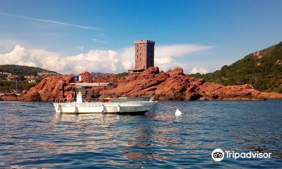 PORT FREJUS DIVING