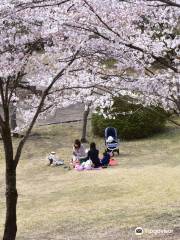 八幡山公園