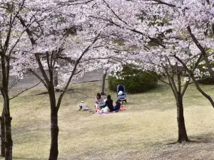 Hachiman-yama Park