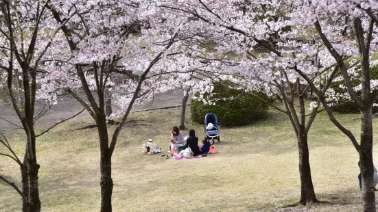 하치만야마 공원