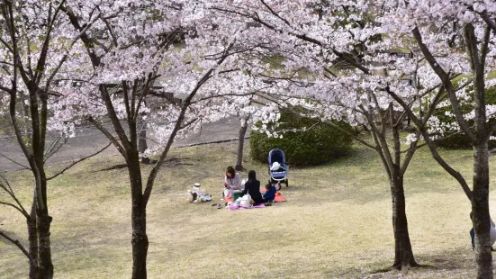 Hachiman-yama Park