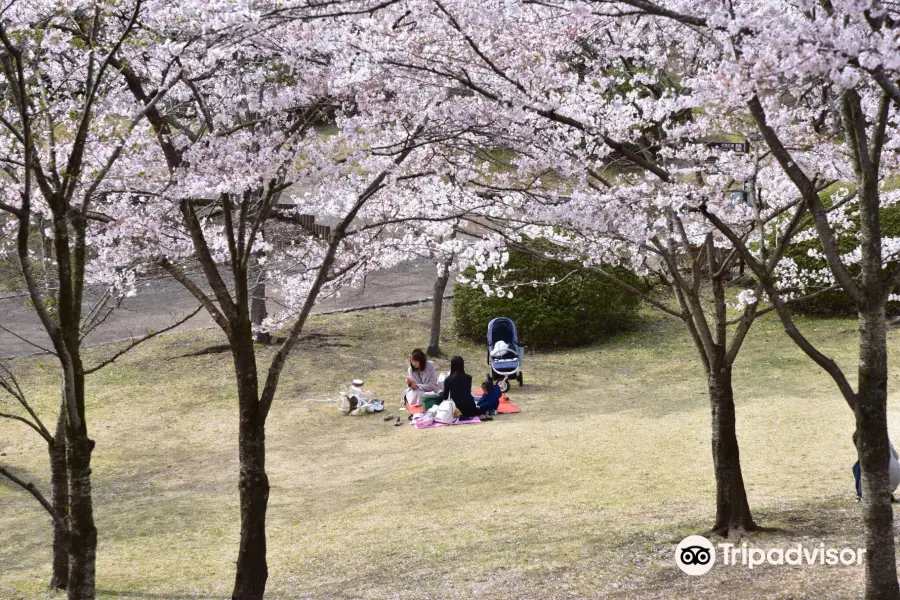 Hachiman-yama Park