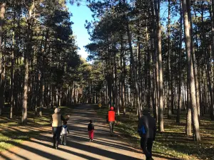 ジョンソン・ソーク・トレイル州立保養地