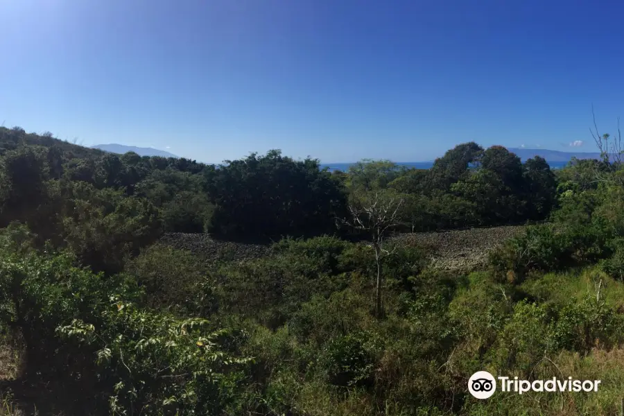 Ili'ili'opae Heiau