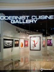 Modernist Cuisine Gallery