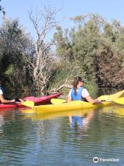 Riu a l'Ebre: tours, bicicletas & kayaks
