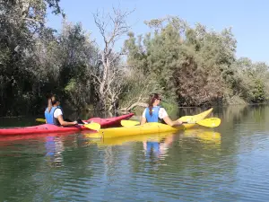 Riu a l'Ebre: tours, bikes & kayaks