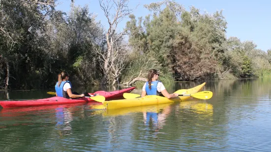 Riu a l'Ebre: tours, bikes & kayaks