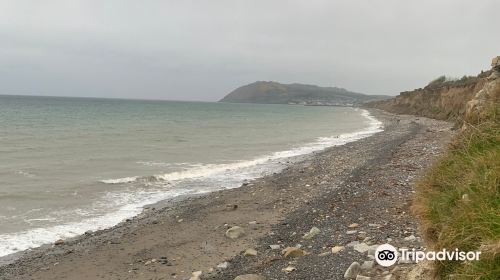 Shankill Beach