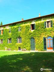 Casa Sola - Winery in Chianti