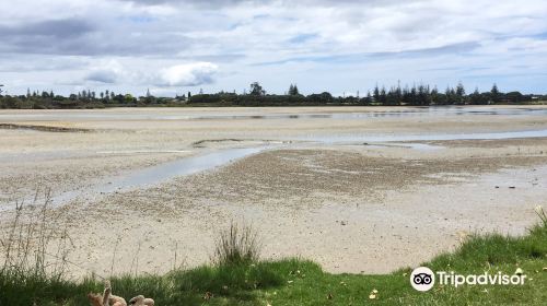 Te Ara Tahuna Estuary Cycleway and Walkway