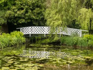 Gooderstone Water Gardens & Nature Trail - Official Site